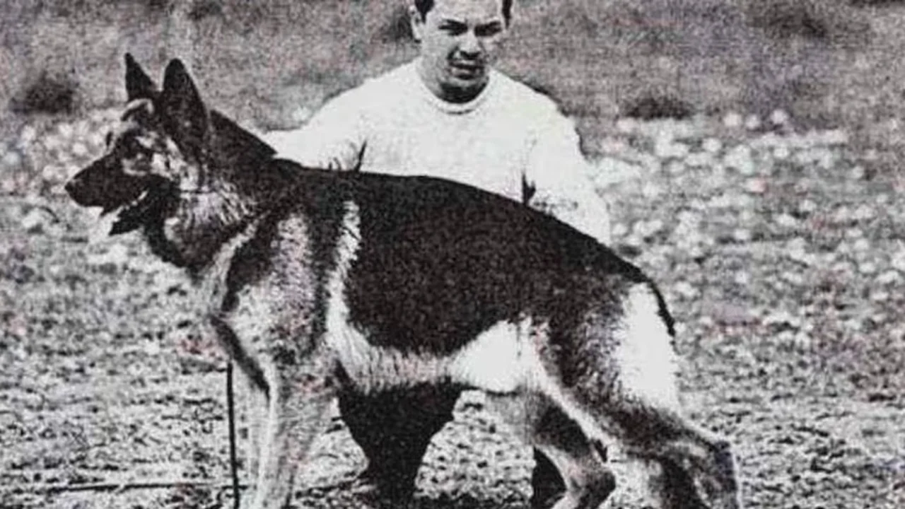 Chonino, perro policía.